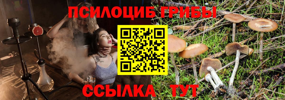 Псилоцибиновые грибы Cubensis  что такое   Псилоцибиновые грибы мицелий  Ярцево  Вход с VPN 