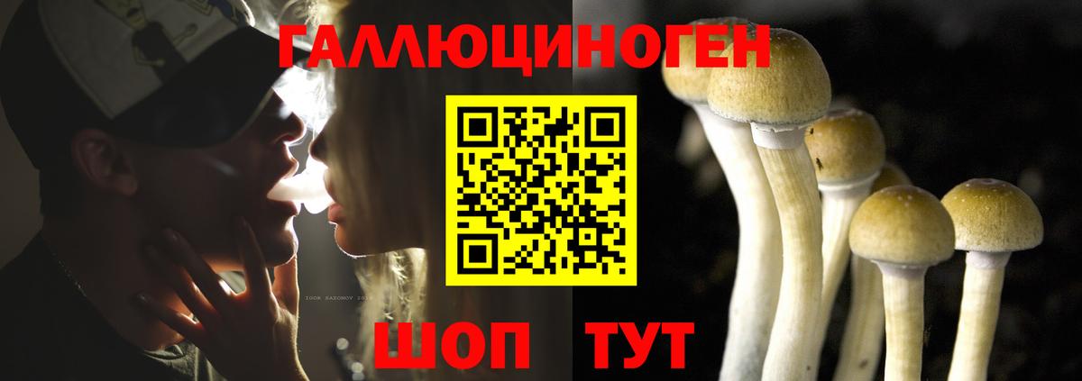 Псилоцибиновые грибы Psilocybine cubensis Ярцево